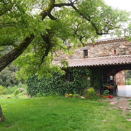 Bed And Breakfast Casanova De Sant Miquel Aiguafreda Екстер'єр фото