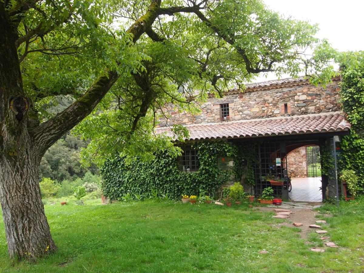 Bed And Breakfast Casanova De Sant Miquel Aiguafreda Екстер'єр фото